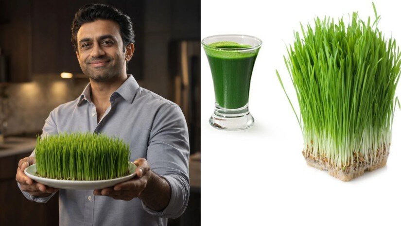 „ძლიერი ანტისიმსივნური ეფექტი, იმუნიტეტის გაძლიერება, დაბერების შენელება…“ – არუნ ხათრი ჯეჯილის სამკურნალო თვისებებზე