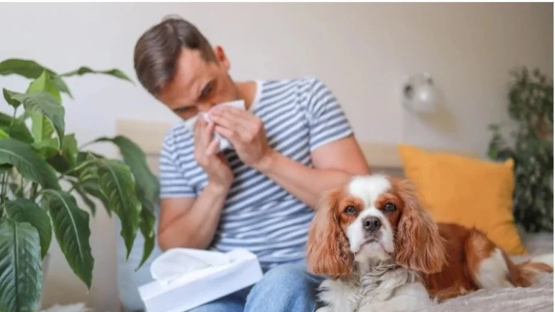 როგორ უნდა გააქროთ შინაური ცხოველის სუნი ბინაში - სპეციალისტის რჩევები