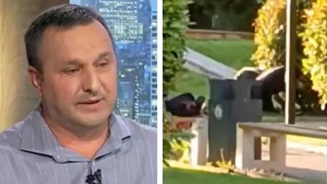 (ვიდეო) "საშინელი სანახავია... მთელ თბილისში ეს ხდება, ხალხს საერთოდ აღარ ერიდებიან" - რა ჩანს პოეტ გელა დაიაურის მიერ გამოქვეყნებულ ვიდეოკადრებში?
